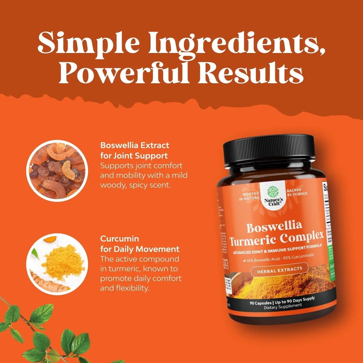Boswellia Extract Capsules with Turmeric - Advanced Immune Health Support Supplement - Turmeric & Boswellia Serrata Capsules 500mg per Serving for Body Detox & Healthy Joints - 90 Count - TrustMedUSA