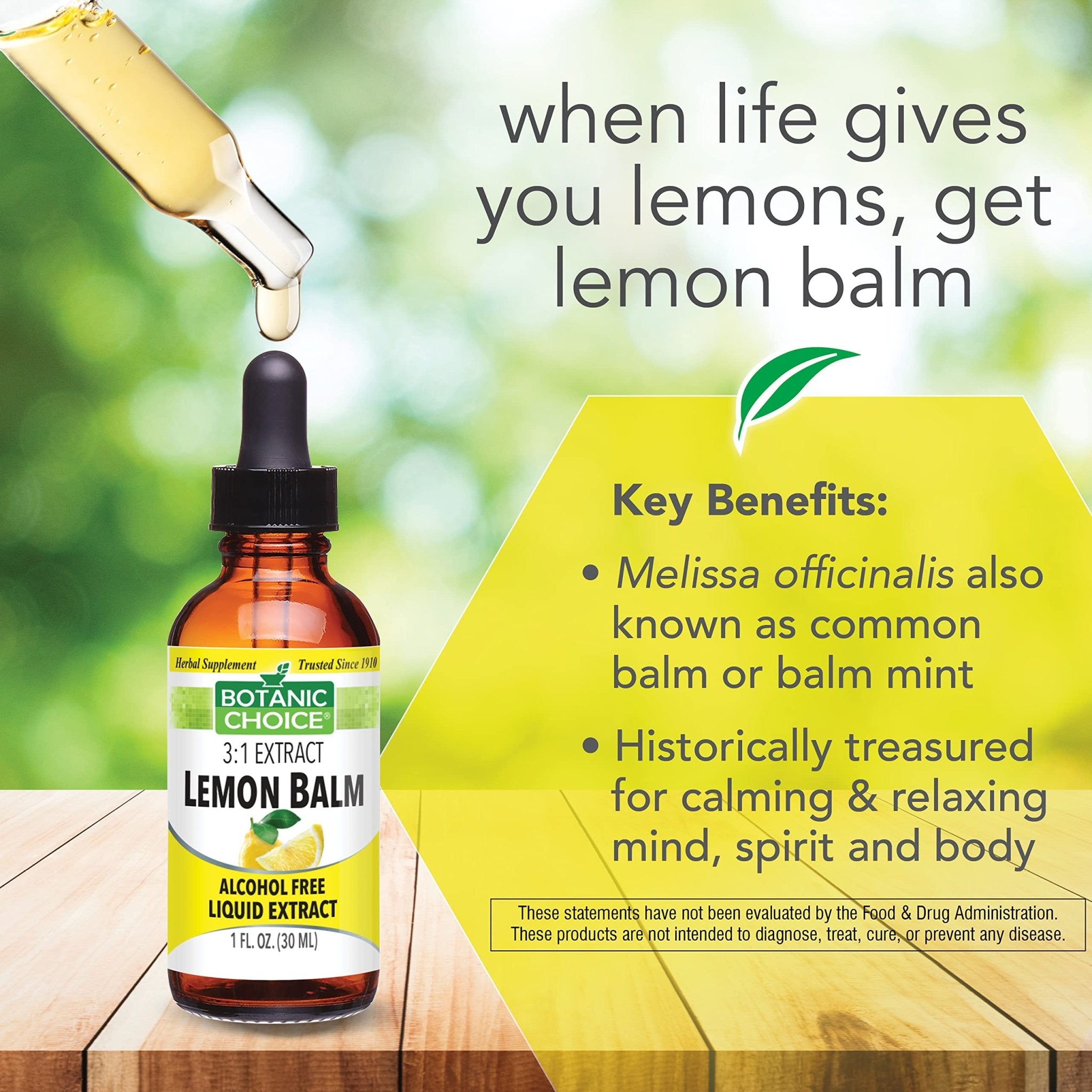 Botanic Choice Mega Fruits and Veggies Blend (60 Capsules) + Lemon Balm Tincture (1 fl oz) Bundle - Energy Balance & Superfood Supplement + Relaxation and Sleep Support - TrustMedUSA