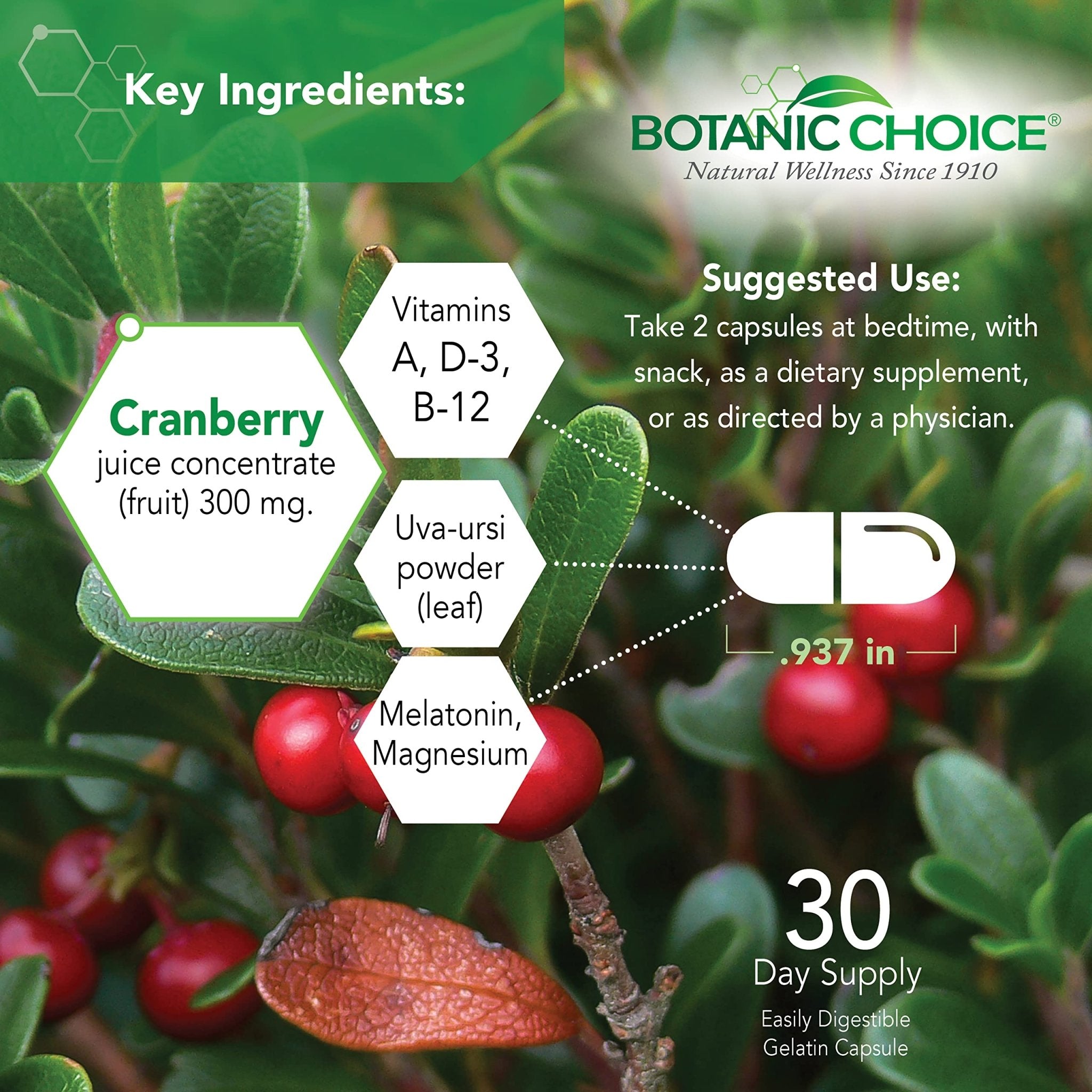 Botanic Choice Pro-Advanced Urinary Formula-Blend for Urinary Tract Health Support - Magnesium Cranberry Uva Ursi Damiana - 60 Capsules - TrustMedUSA