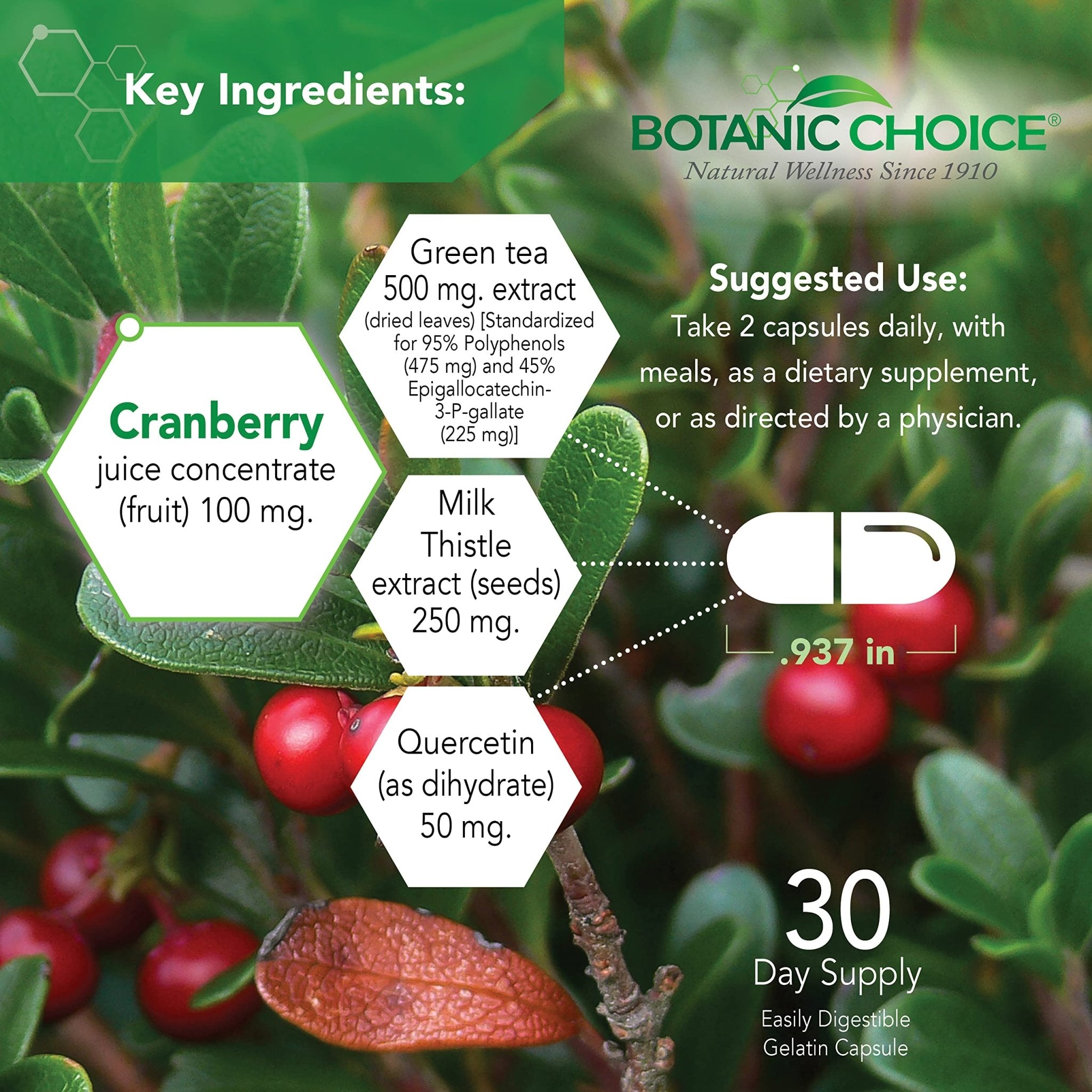 Botanic Choice Ultra Kidney Complex - Optimal Kidney Support with Milk Thistle, Green Tea & More- 60 Capsules - TrustMedUSA