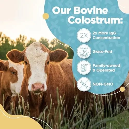 Bovine Colostrum Powder - 40% IgG Highly Concentrated Pure Bovine Colostrum - TrustMedUSA