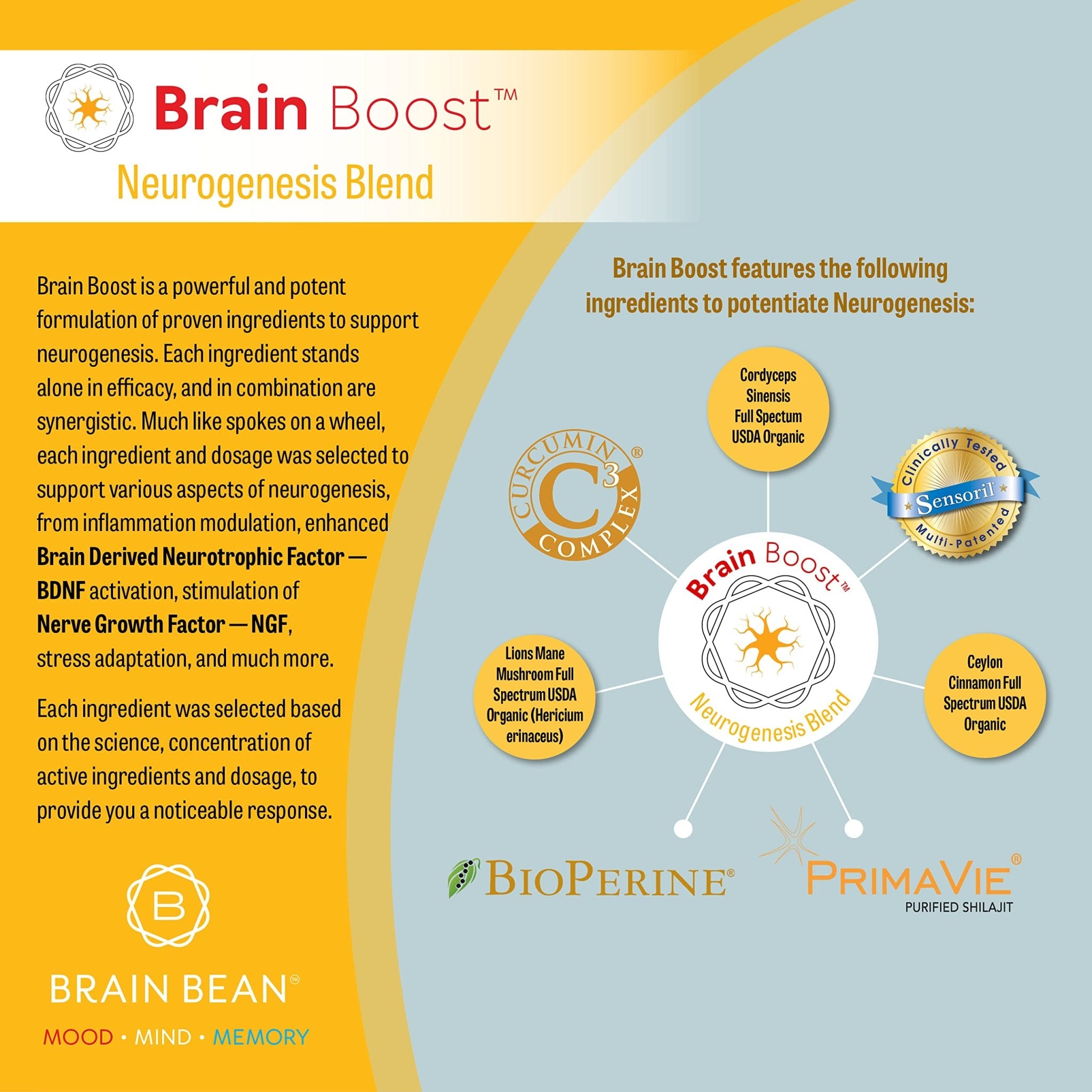 Brain Bean Brain-Boost (Formerly - TrustMedUSA