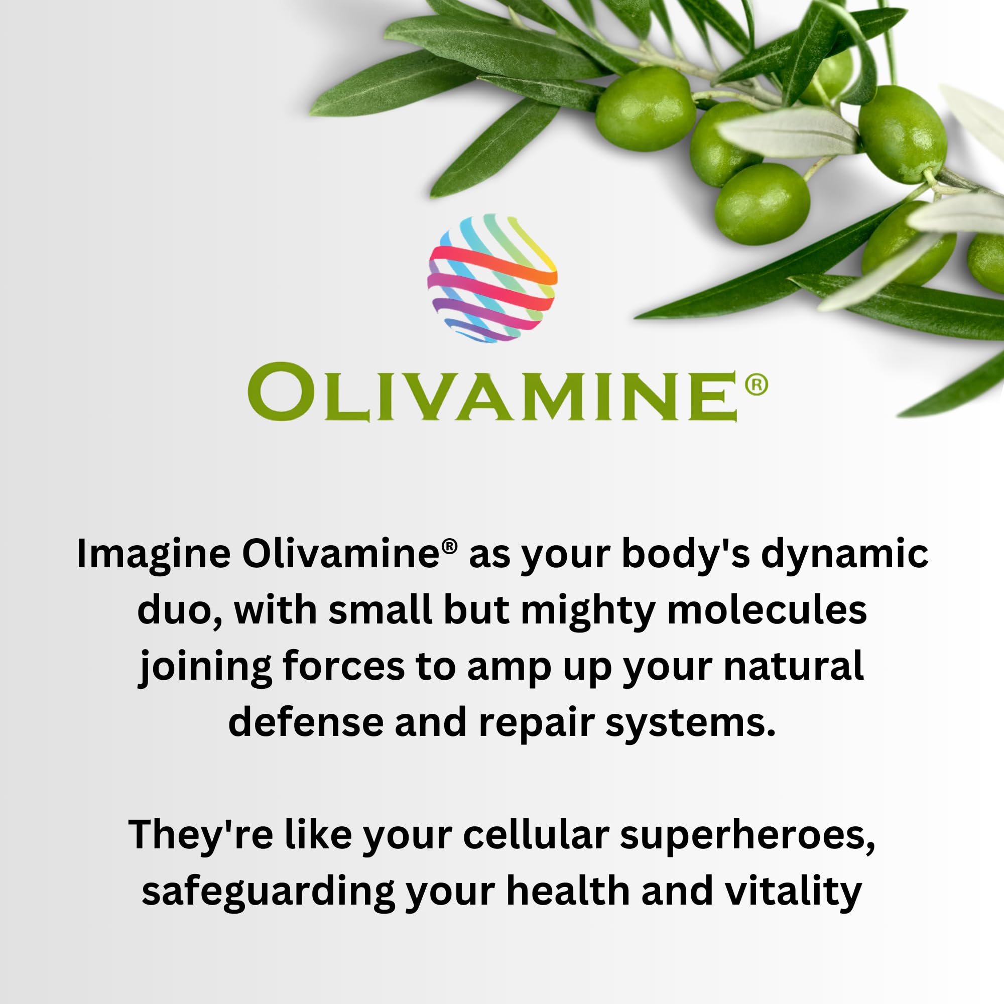 BrainHealth Brain Supplement - Amplify Memory, Increase Focus, Enhance Clarity & Gain Productivity For Men & Women, Olivamine, Vitamin D, Vitamin B6 & B12, Rhodiola Rosea, Magnesium, Taurine - TrustMedUSA
