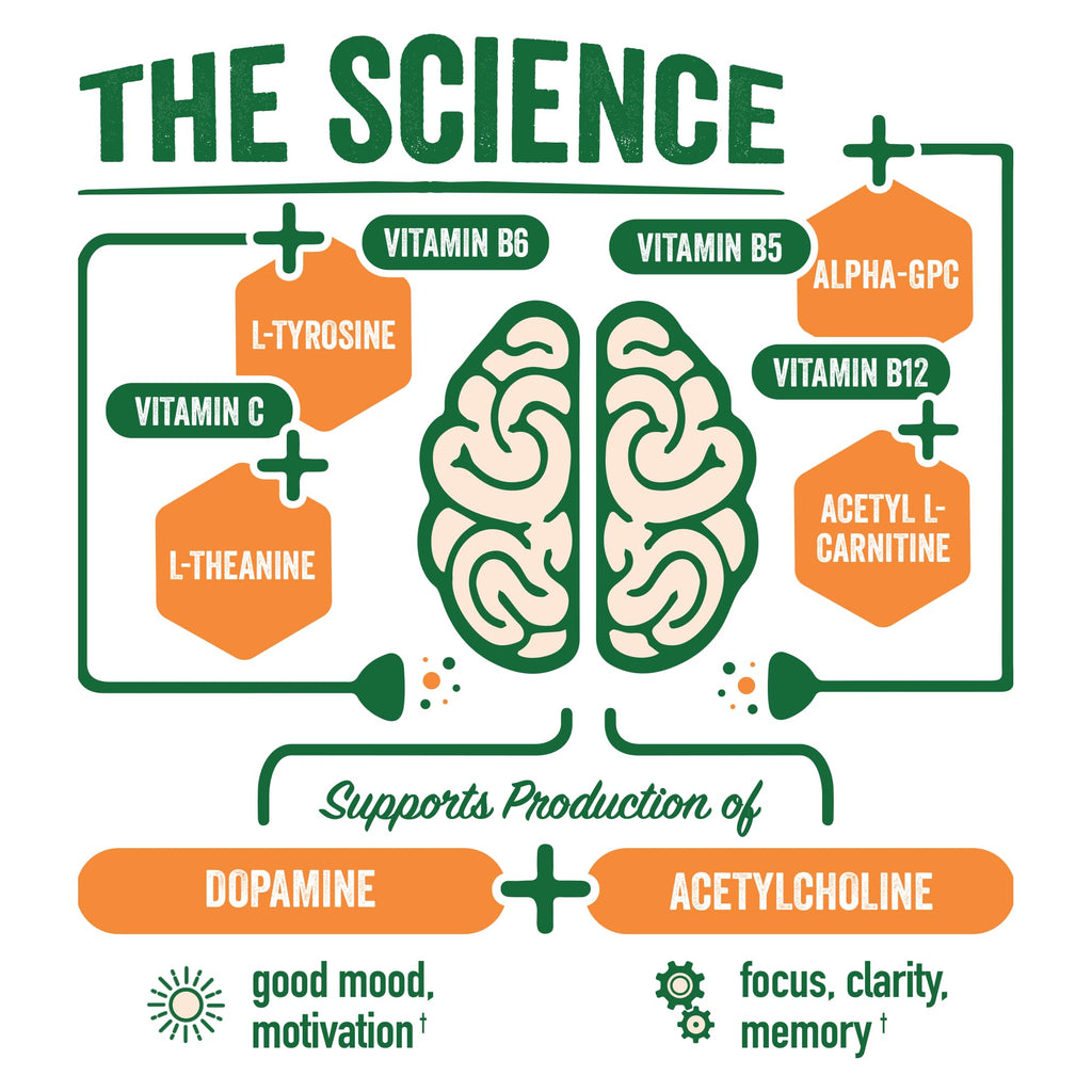 BrainJuice Nootropics Brain Support Supplement, Gluten Free Powder for Energy and Focus, Pre Workout w/Alpha GPC, Vitamin B & Organic Green Tea Extract Caffeine, Active Pomegranate Acai, 15 Servings - TrustMedUSA