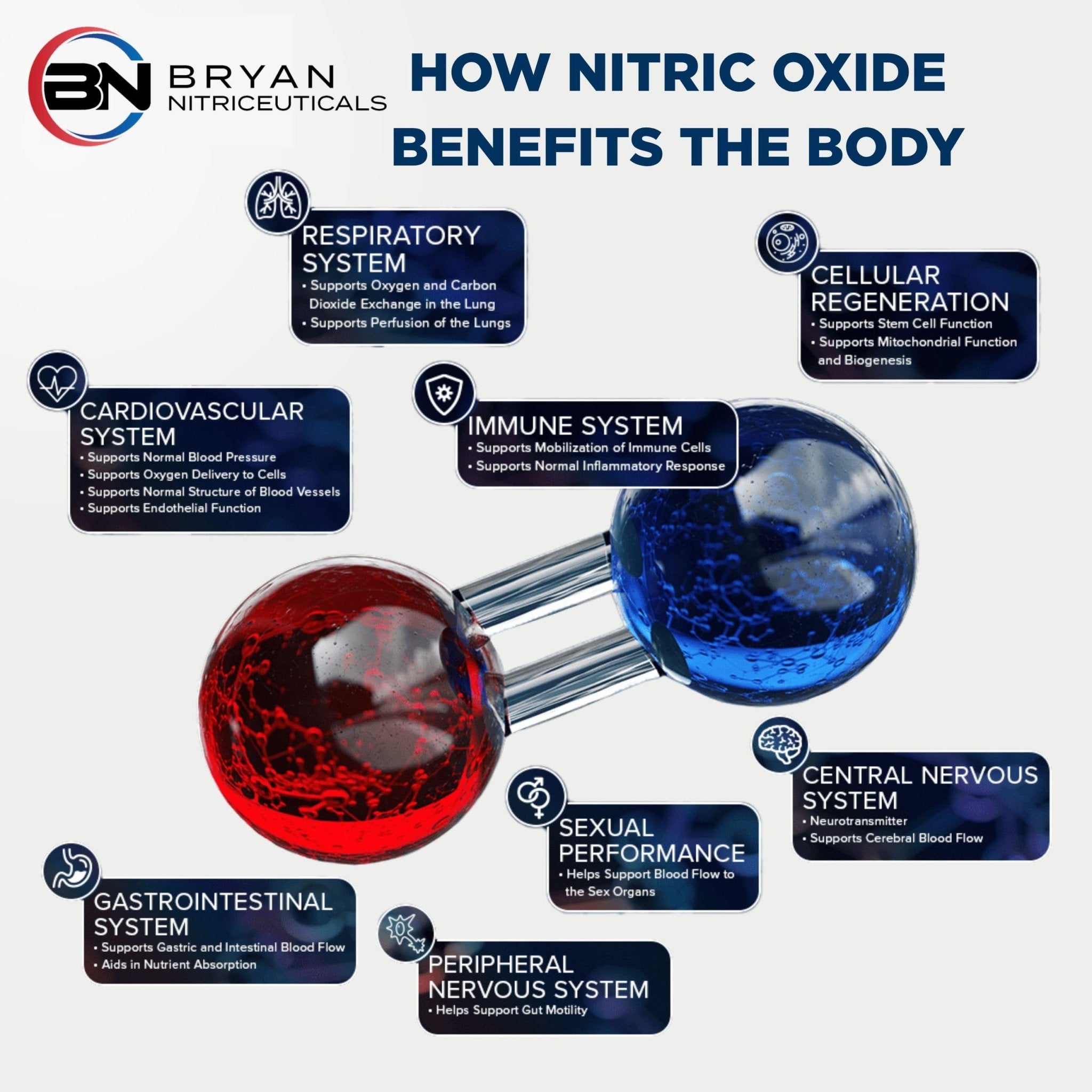 Bryan Nitriceuticals N.O. Beetz Nitric Oxide Fueled Energy Boost Supplement, Hydration & Cellular Energy Production Enhancer, Blend of Vitamins and Minerals (30 Servings) - TrustMedUSA