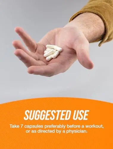 BULKSUPPLEMENTS.COM Creatine Monohydrate Capsules - Micronized Creatine Monohy - TrustMedUSA