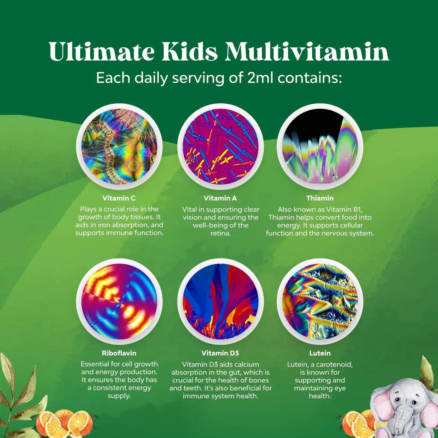 Bundle of Kids DHA Omega 3 Gummies - Fatty Acids Omega 3 6 9 for Brain Immune Strength Vision Focus Support and Liquid Multivitamin for Kids Immunity Support - TrustMedUSA
