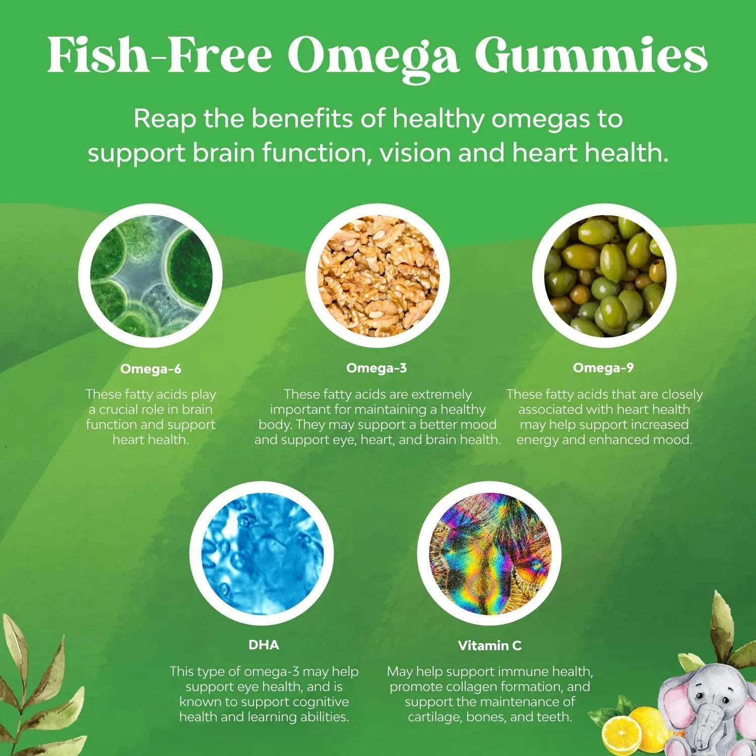 Bundle of Kids DHA Omega 3 Gummies - Fatty Acids Omega 3 6 9 for Brain Immune Strength Vision Focus Support and Liquid Multivitamin for Kids Immunity Support - TrustMedUSA