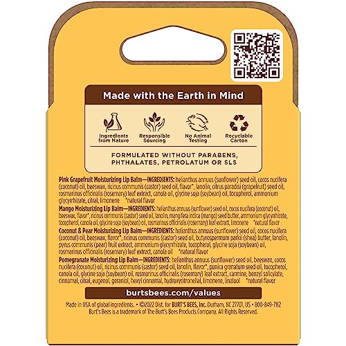 Burt's Bees 100% Natural Moisturizing Lip Balm (Superfruit) - TrustMedUSA
