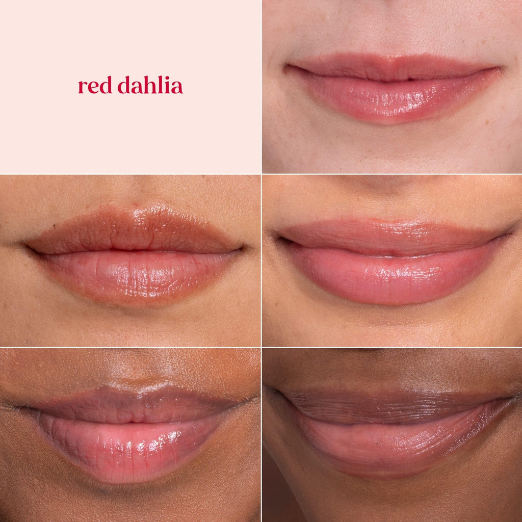 Burt's Bees Lip Tint Balm with Long Lasting 2 in 1 Duo Tinted Balm Formula, Color Infused with Deeply Hydrating Shea Butter - TrustMedUSA