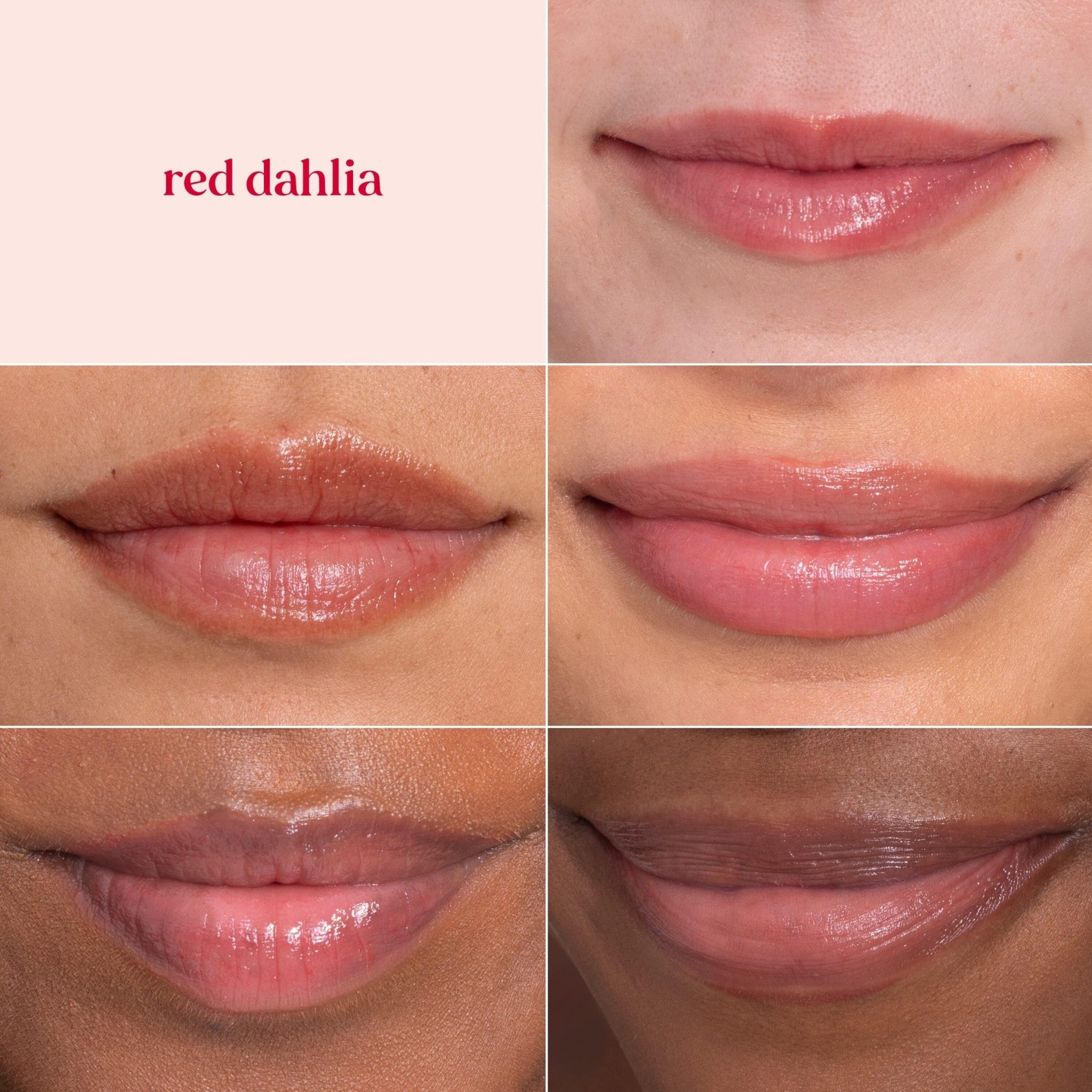Burt's Bees Lip Tint Balm with Long Lasting 2 in 1 Duo Tinted Balm Formula, Color Infused with Deeply Hydrating Shea Butter - TrustMedUSA