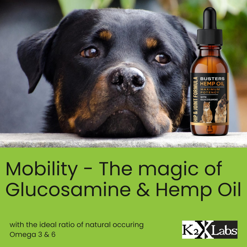 Busters Hip and Joint Hemp Oil Formula enriched with Glucosamine, Pain Relief for Dogs and Pets, Arthritis, and Advanced Mobility Support - TrustMedUSA