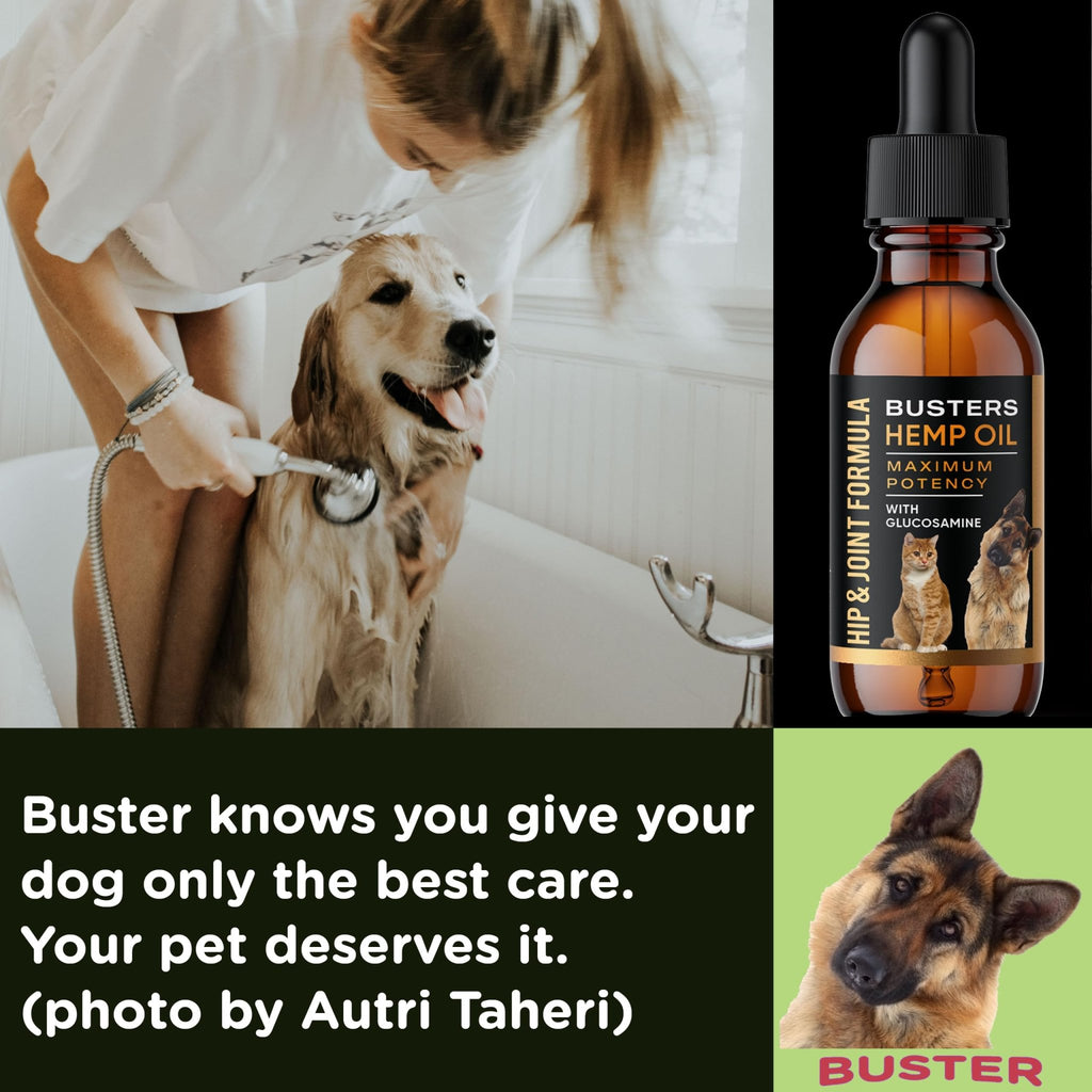 Busters Hip and Joint Hemp Oil Formula enriched with Glucosamine, Pain Relief for Dogs and Pets, Arthritis, and Advanced Mobility Support - TrustMedUSA