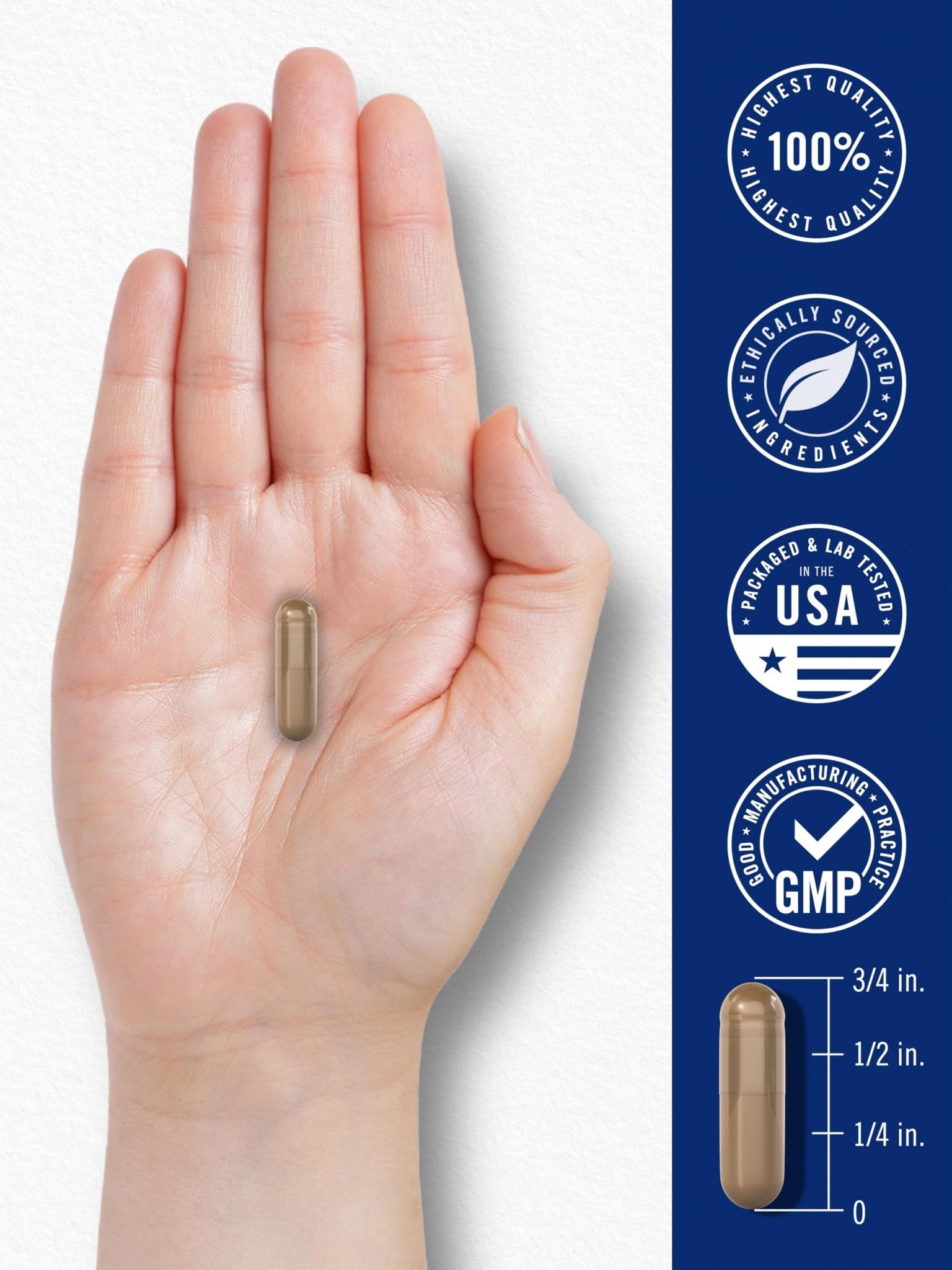 Carlyle Blood Circulation Supplement | 180 Capsules | Supports Healthy Circulation | Non-GMO, Gluten Free - TrustMedUSA