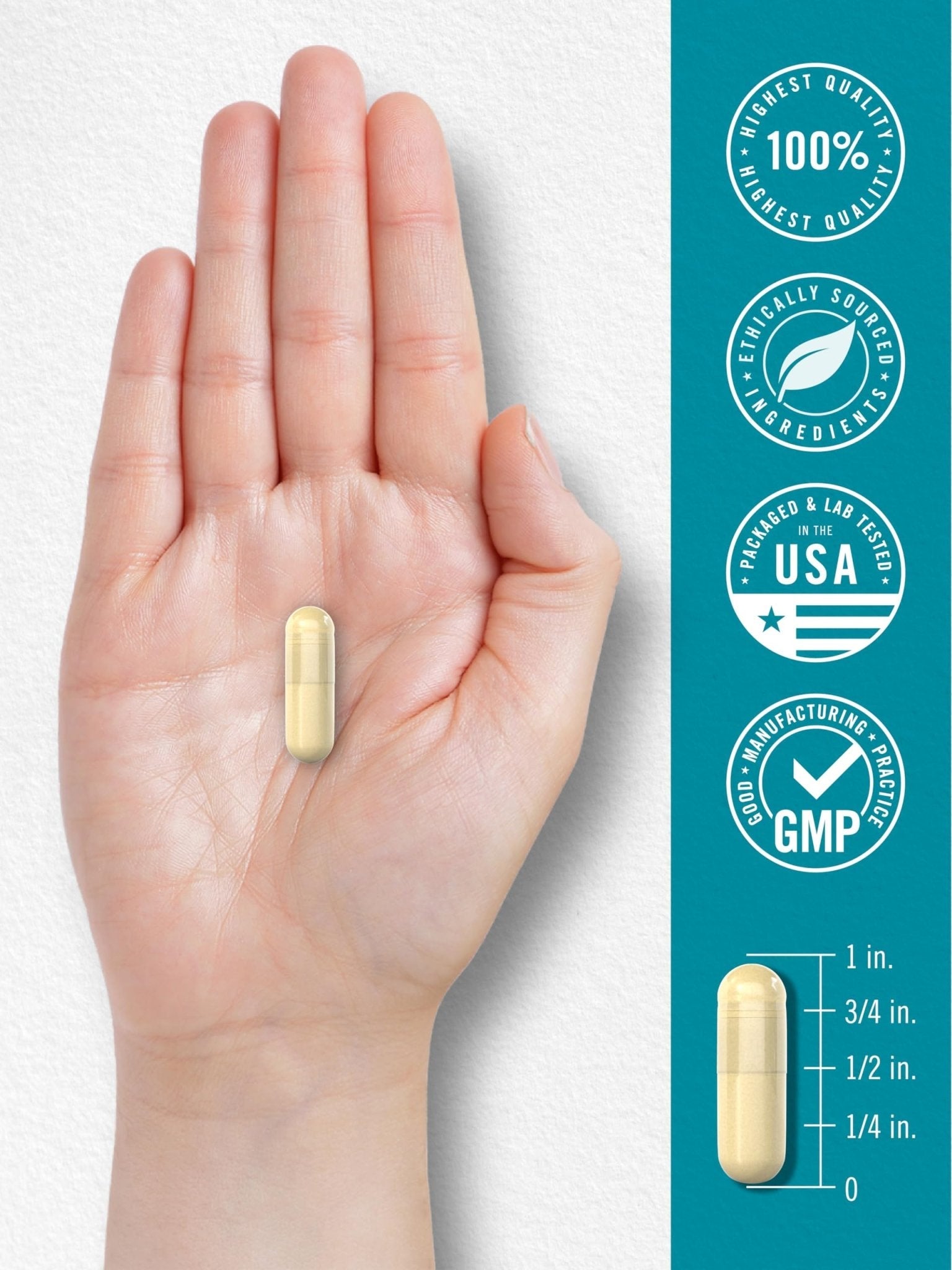 Carlyle Chicken Sternum Collagen Type 2 | 3000mg | 120 Capsules | Plus Hyaluronic Acid | Non-GMO, Gluten Free Supplement - Maple Wellness Supplements