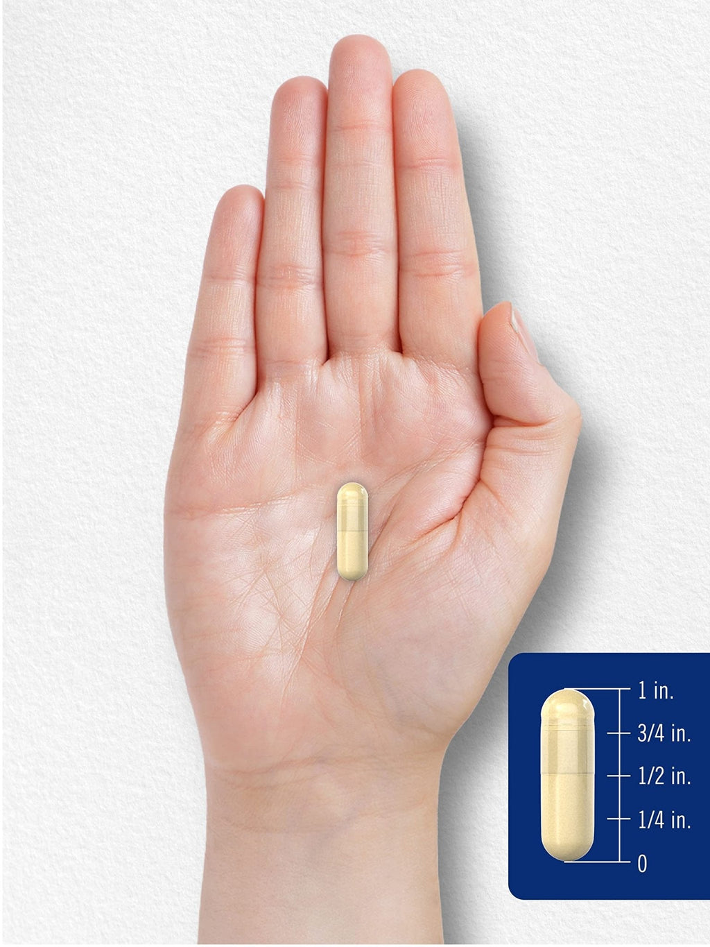 Carlyle Gelatin Capsules | 2160 mg | 250 Pills | with Silica Optimizer | Non-GMO, and Gluten Free Supplement - Maple Wellness Supplements