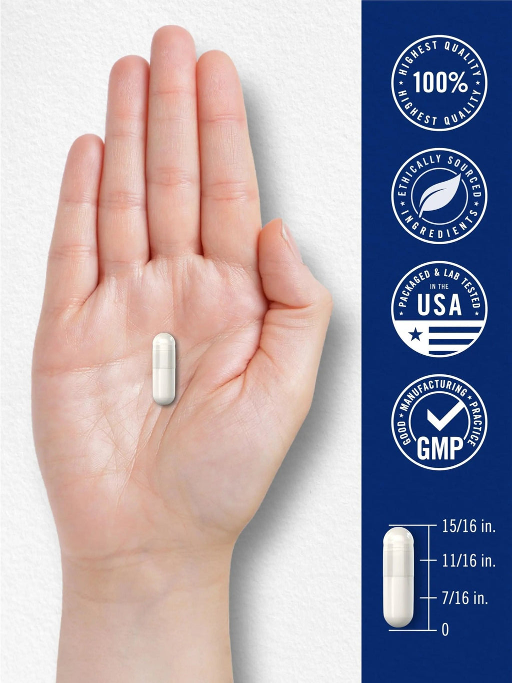 Carlyle Triple Magnesium Complex | 400 mg | 240 Capsules | Magnesium Malate, Glycinate & Citrate | Vegetarian, Non-GMO, and Gluten Free Supplement - TrustMedUSA