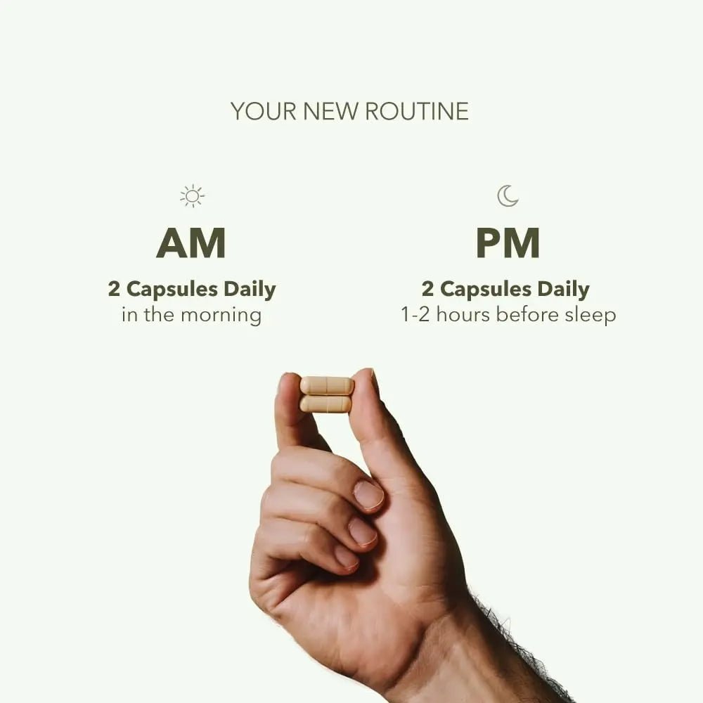 CASIDOR - Dominus MULTIVITAMINS for Men + Performance Formula | AM + PM | – 30 Days Serving | Energy, Performance, Recovery & Sleep - TrustMedUSA