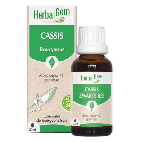 Cassis BIO Macérat mère Bourgeons 30 ml HERBALGEM - TrustMedUSA