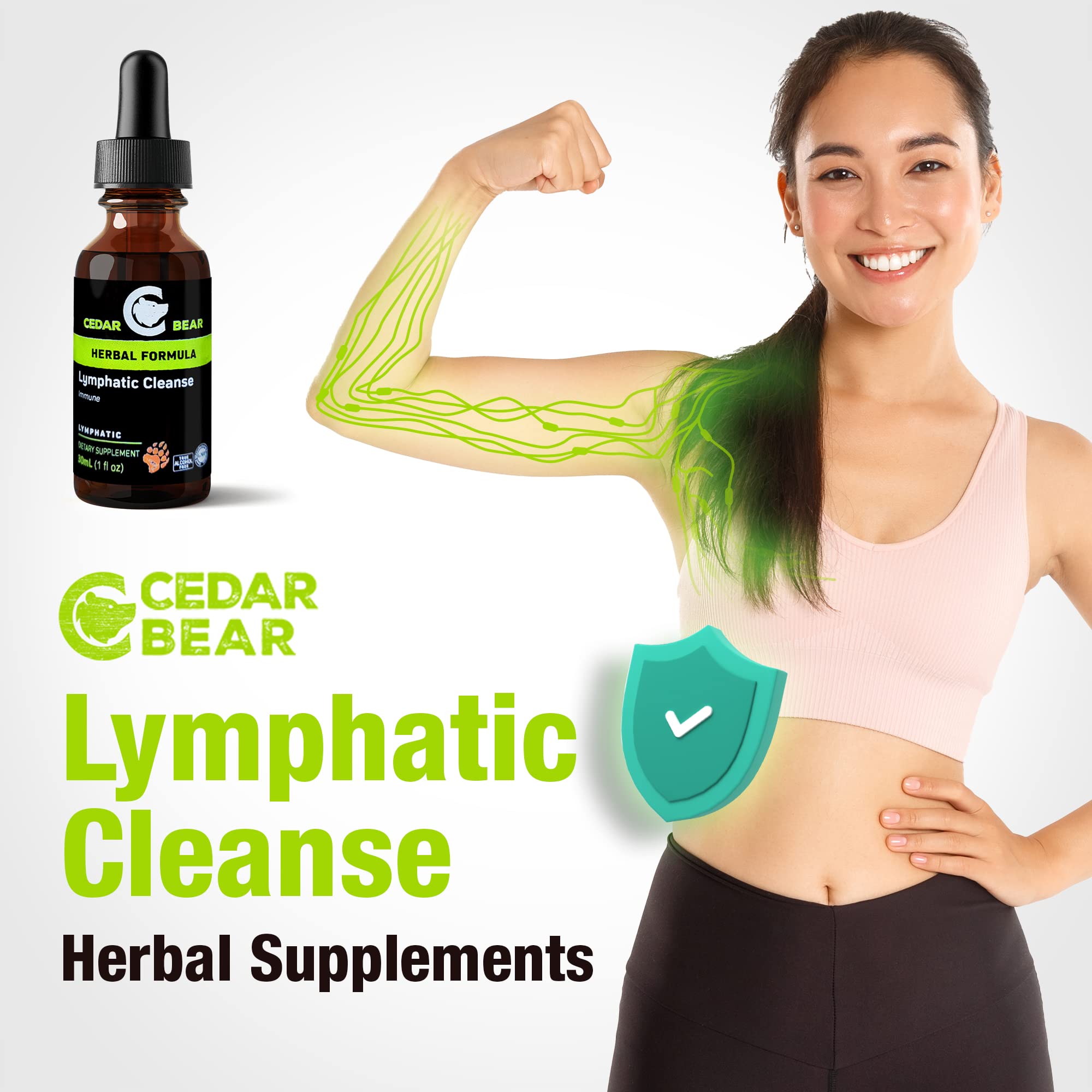 Cedar Bear - Lymphatic Cleanse Immune Support Supplement, Alcohol-Free Lymphatic Drainage Drops with Immune-Enhancing Natural Herbs, Liquid Herbal Supplements, 1 fl oz - Maple Wellness Supplements