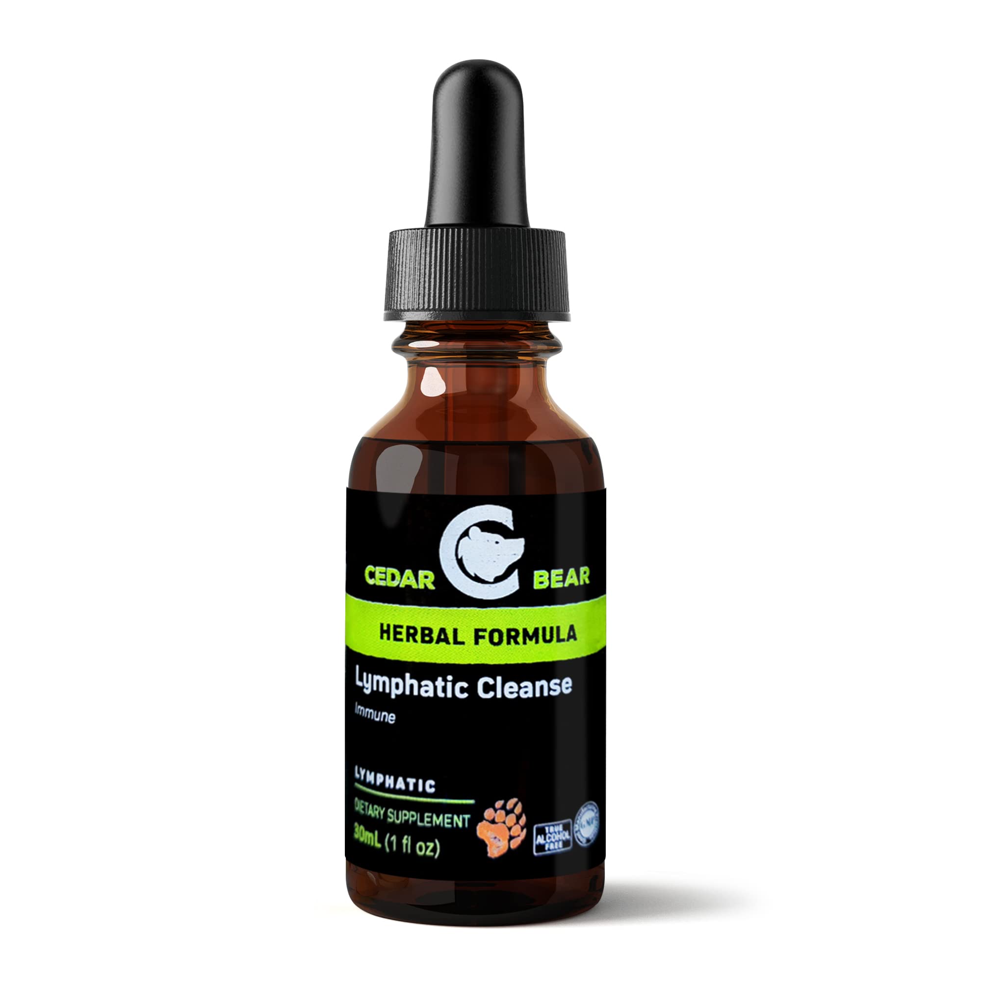 Cedar Bear - Lymphatic Cleanse Immune Support Supplement, Alcohol-Free Lymphatic Drainage Drops with Immune-Enhancing Natural Herbs, Liquid Herbal Supplements, 1 fl oz - Maple Wellness Supplements