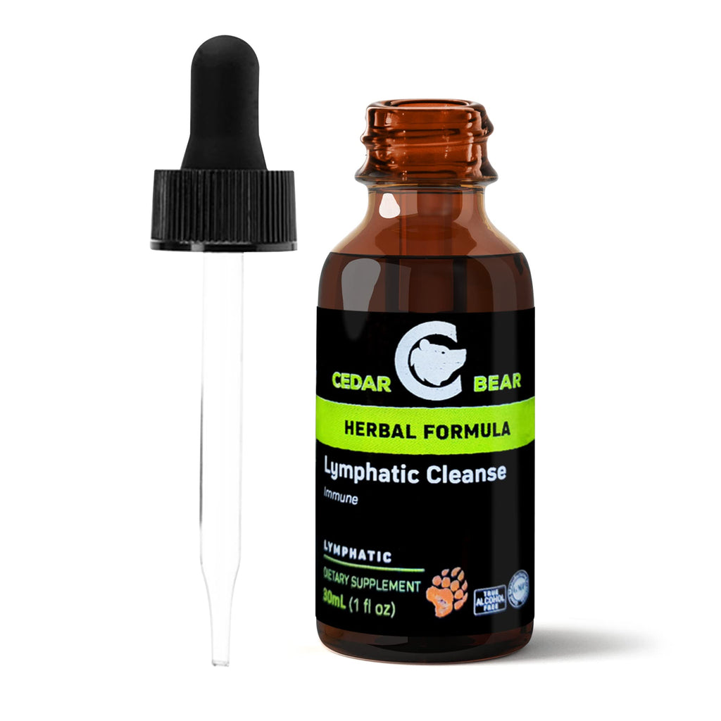 Cedar Bear - Lymphatic Cleanse Immune Support Supplement, Alcohol-Free Lymphatic Drainage Drops with Immune-Enhancing Natural Herbs, Liquid Herbal Supplements, 1 fl oz - Maple Wellness Supplements