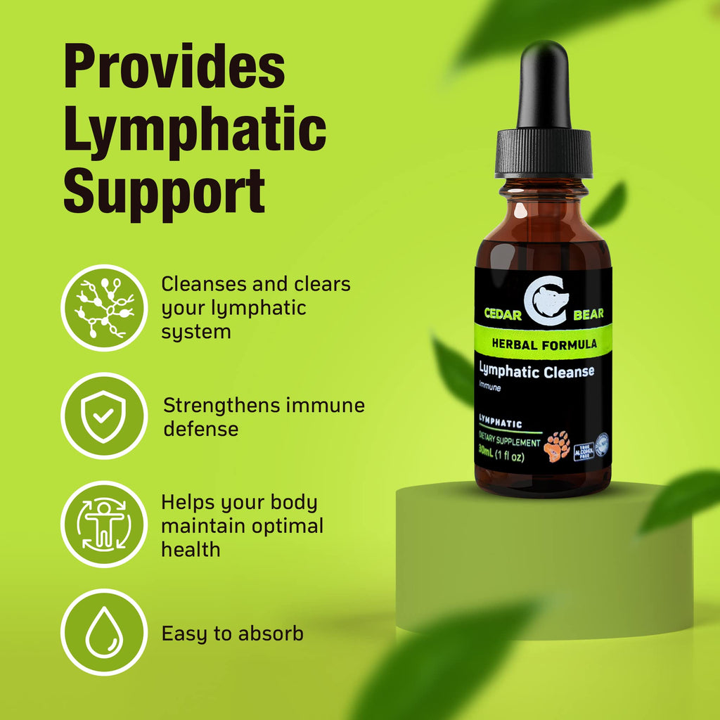 Cedar Bear - Lymphatic Cleanse Immune Support Supplement, Alcohol-Free Lymphatic Drainage Drops with Immune-Enhancing Natural Herbs, Liquid Herbal Supplements, 1 fl oz - Maple Wellness Supplements
