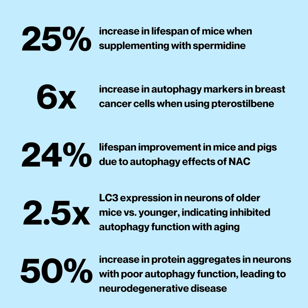 Celly Autophagy Activator | Longevity Supplement for Cellular Nutrition and Healthy Aging | Promotes Cell Renewal with Spermidine, Pterostilbene, Fisetin, and NAC | Made in USA & 3rd Party Tested - TrustMedUSA