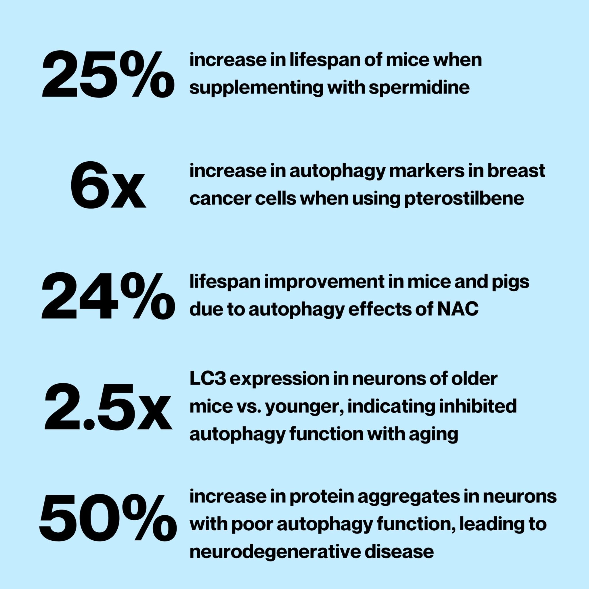 Celly Autophagy Activator | Longevity Supplement for Cellular Nutrition and Healthy Aging | Promotes Cell Renewal with Spermidine, Pterostilbene, Fisetin, and NAC | Made in USA & 3rd Party Tested - TrustMedUSA