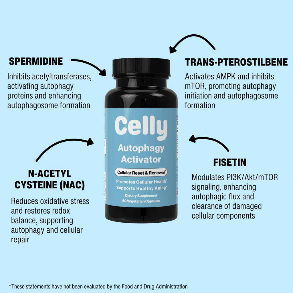 Celly Autophagy Activator | Longevity Supplement for Cellular Nutrition and Healthy Aging | Promotes Cell Renewal with Spermidine, Pterostilbene, Fisetin, and NAC | Made in USA & 3rd Party Tested - TrustMedUSA