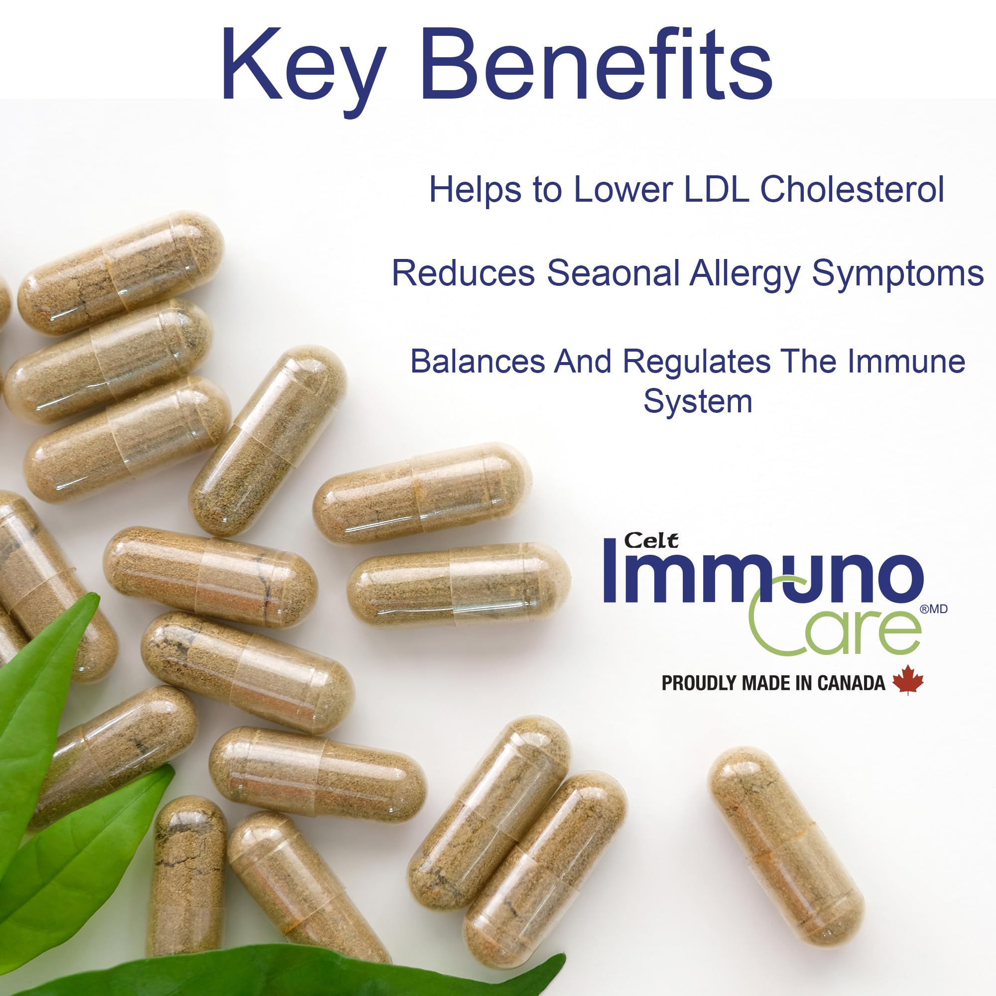 Celt Immunocare 60 v-caps - Potent Seasonal Allergy Blend - Adult Immunity Support - Cholesterol Modulator - Plant Sterols Ultra Strength - 7 Key Immunity Enhancing Ingredients - TrustMedUSA