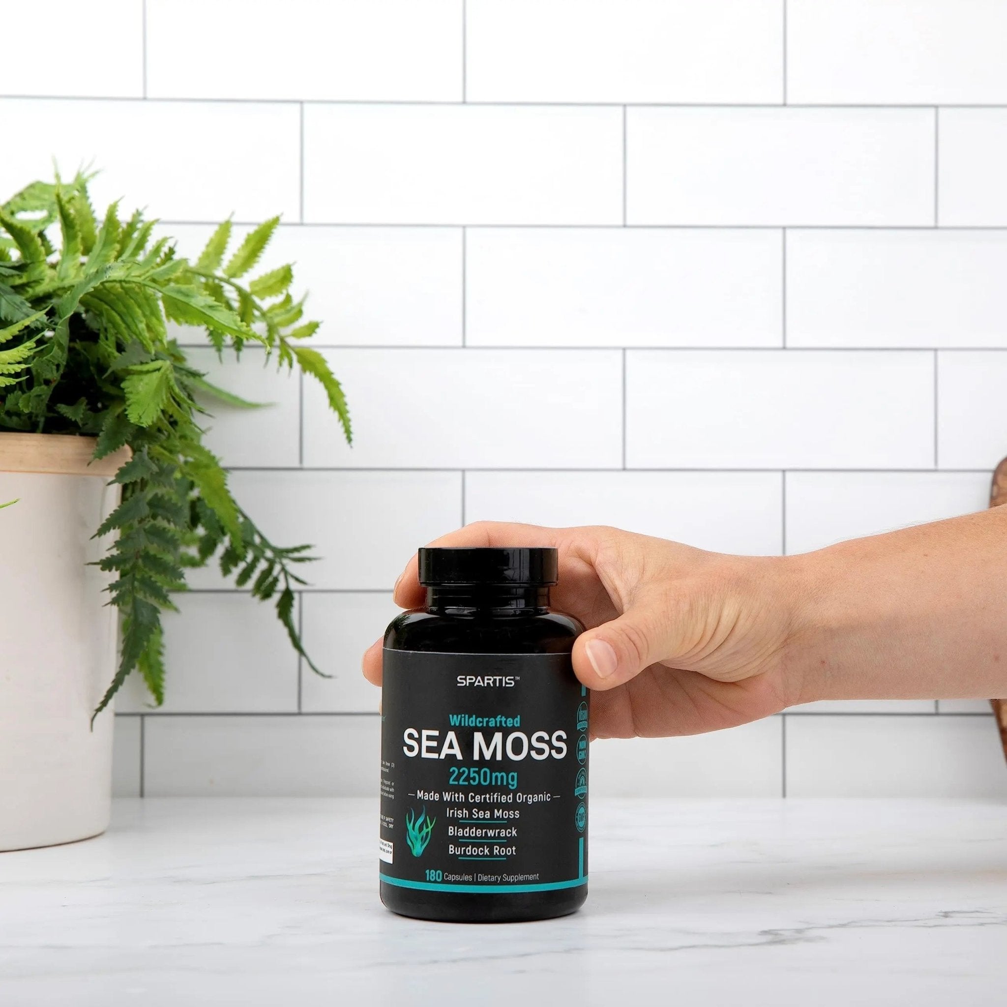 Certified Organic Sea Moss Capsules 2250mg Wildcrafted Irish Sea Moss Burdock Root - TrustMedUSA