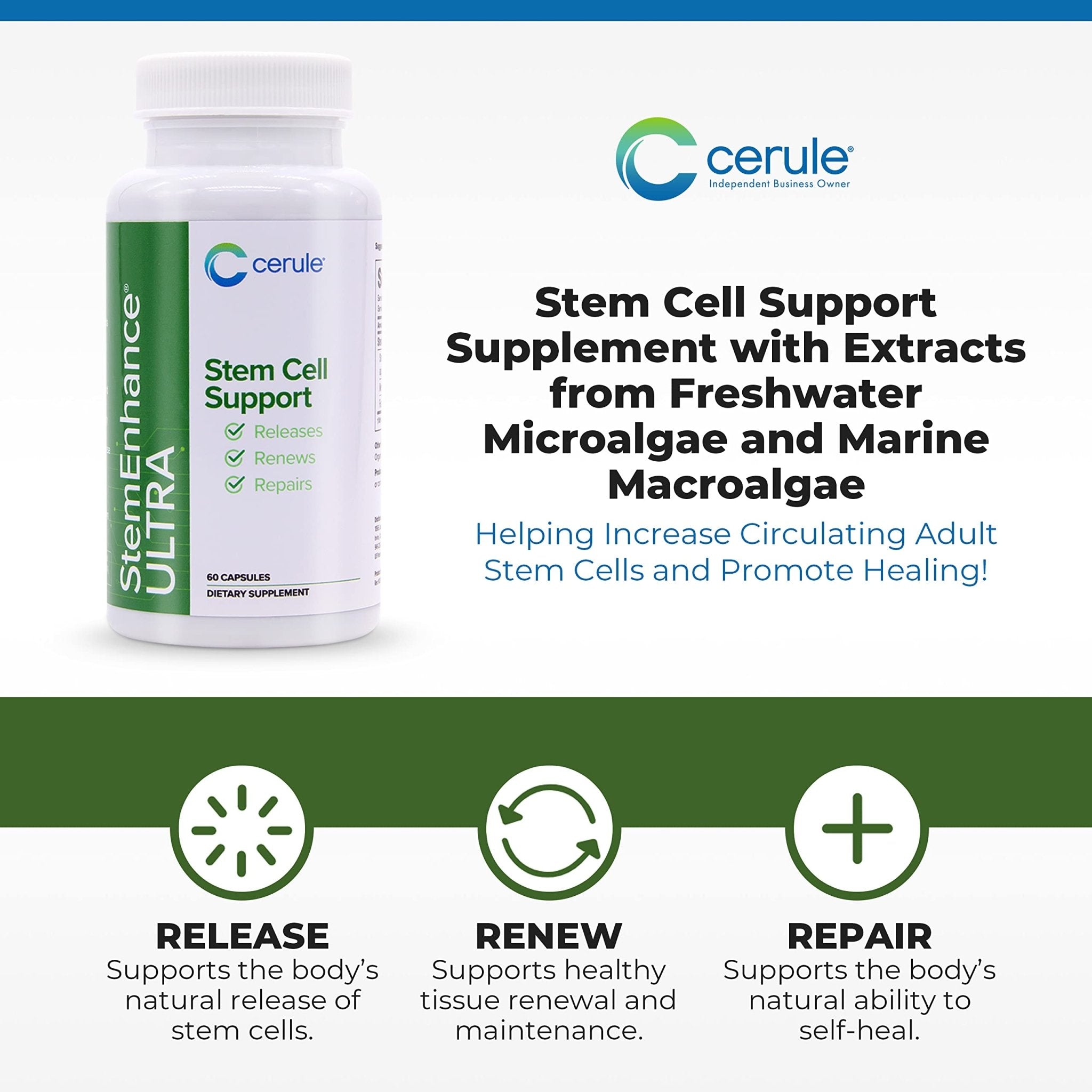 Cerule StemEnhance Ultra Natural Stem Cell Support Supplement – Freshwater Microalgae and Marine Macroalgae Extracts for Cellular Renewal, Immune Function, Energy, and Tissue Recovery – 60 Capsules - TrustMedUSA