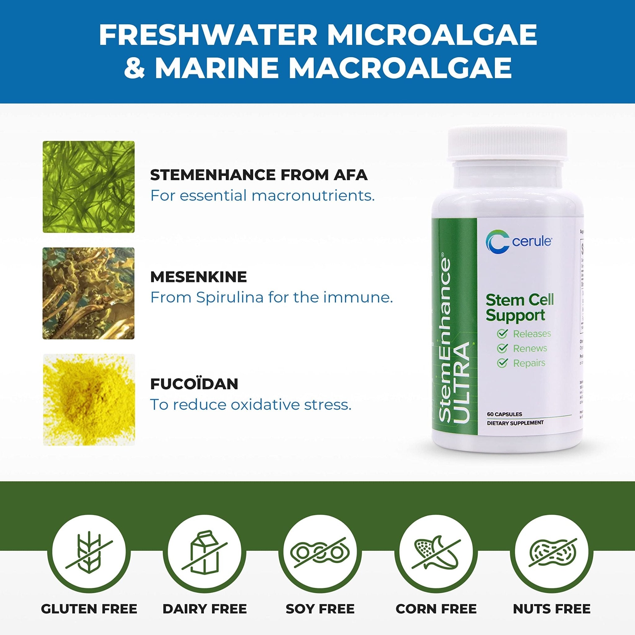Cerule StemEnhance Ultra Natural Stem Cell Support Supplement – Freshwater Microalgae and Marine Macroalgae Extracts for Cellular Renewal, Immune Function, Energy, and Tissue Recovery – 60 Capsules - TrustMedUSA
