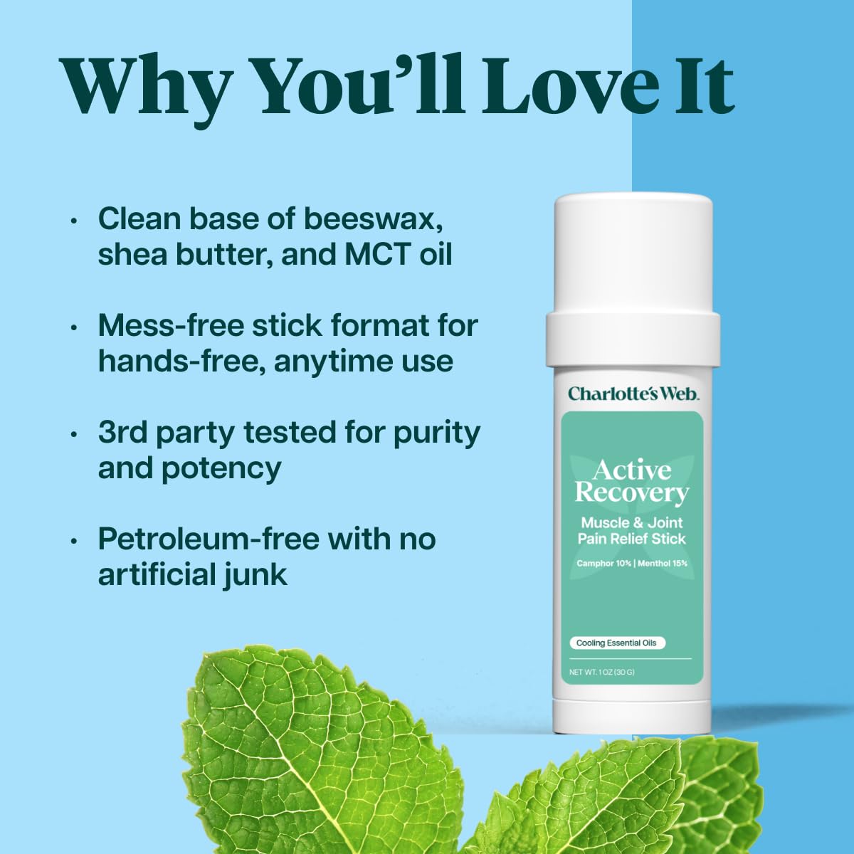Charlotte's Web Active Recovery Muscle & Joint Pain Relief Stick 1oz - TrustMedUSA