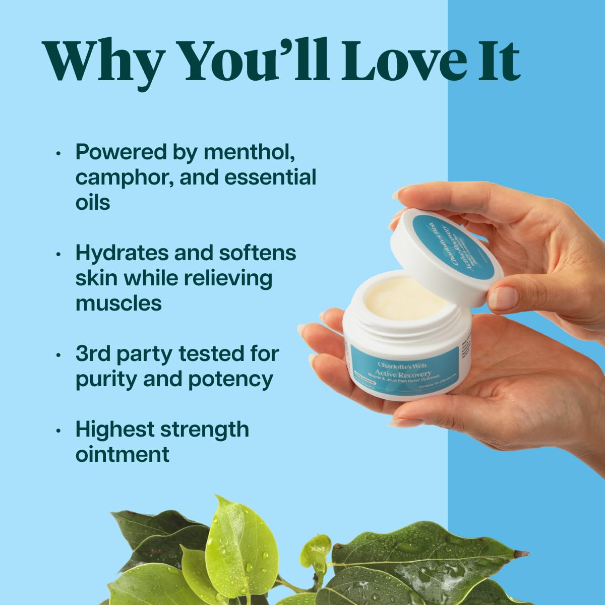 Charlotte's Web Active Recovery Muscle & Joint Relief Ointment 1.55oz - TrustMedUSA