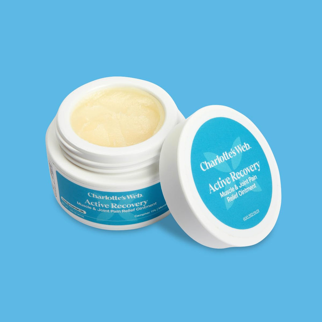 Charlotte's Web Active Recovery Muscle & Joint Relief Ointment 1.55oz - TrustMedUSA