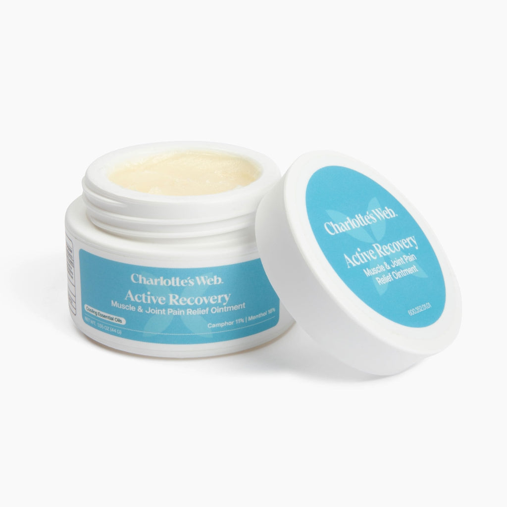 Charlotte's Web Active Recovery Muscle & Joint Relief Ointment 1.55oz - TrustMedUSA