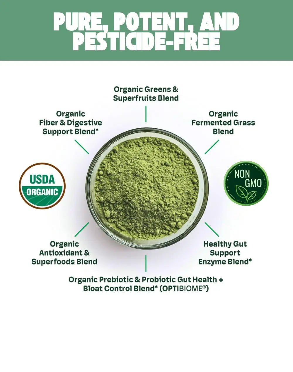 Cheerific Crisp Apple Greens Superfood Powder - 20+ Organic Superfoods + Prebiotic & Probiotics + More - Keto Friendly - Supports Positive Mood, Gut Health - Vegan, Gluten Free, Non-GMO - 30 Day - TrustMedUSA