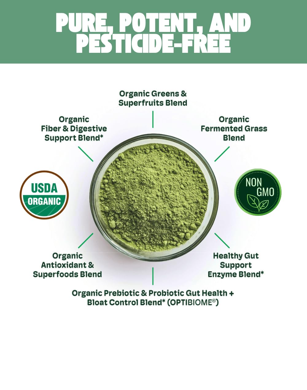 Cheerific Green Apple Bliss Superfood Powder - 20+ Organic Superfoods + Prebiotic & Probiotics + More - Keto Friendly - Supports Positive Mood, Gut Health - Vegan, Gluten Free, Non-GMO - 30 Day Supply - TrustMedUSA