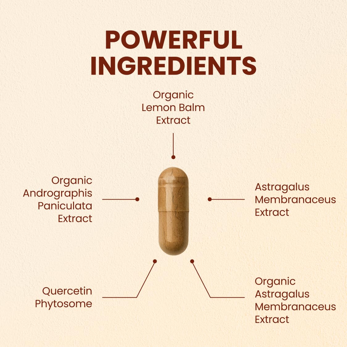 CHOQ Armor - Vegan Capsules - Professional-Grade Immune Defense - 20x Absorption Quercetin Phytosome - Andrographis - Astragalus - Supports Healthy Histamine Levels - TrustMedUSA