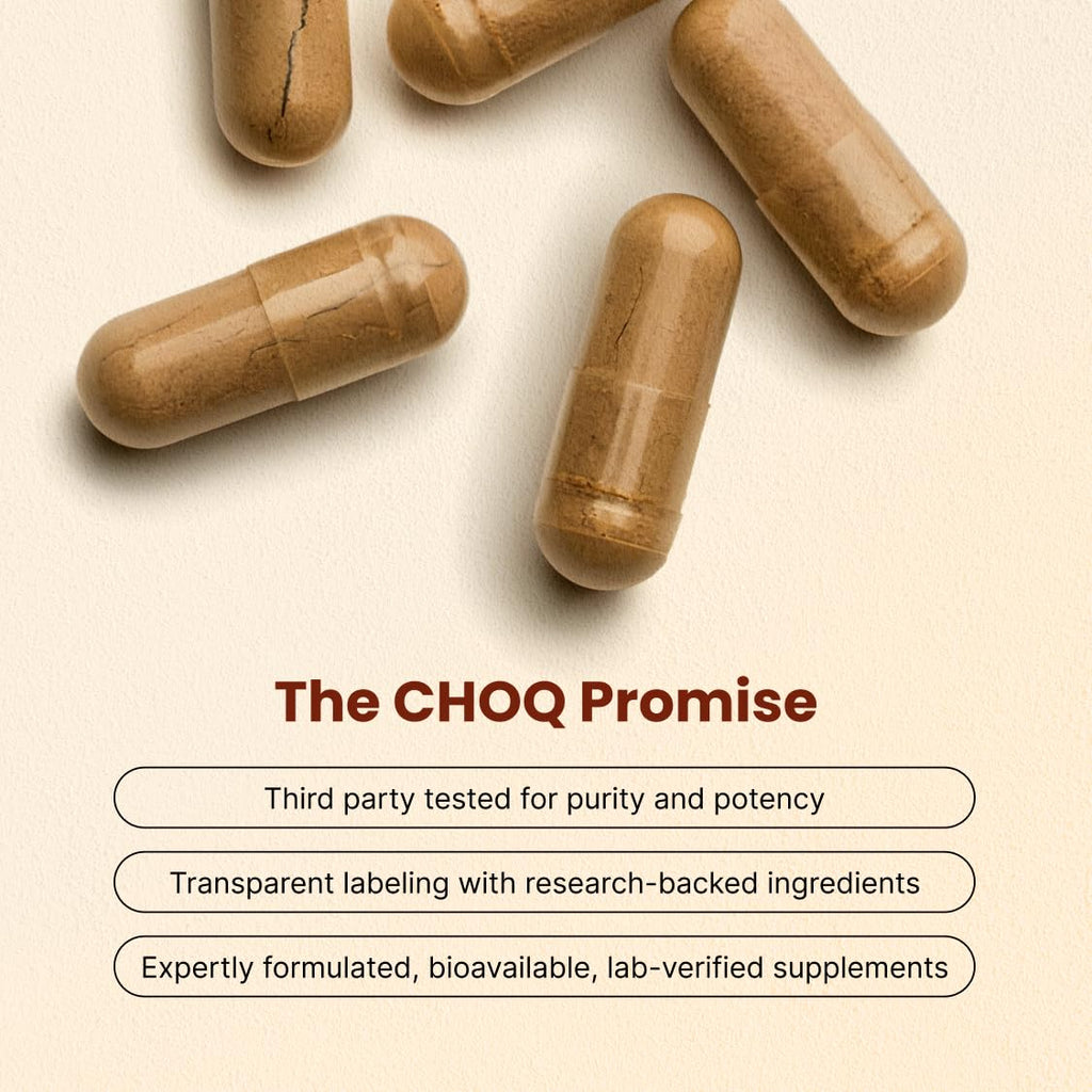 CHOQ Daily with 500mg PrimaVie Shilajit, Safed Musli, Tribulus - Natural Energy, Libido & Muscle Support - Daily Supplement for Men, 60 Vegan Capsules - TrustMedUSA