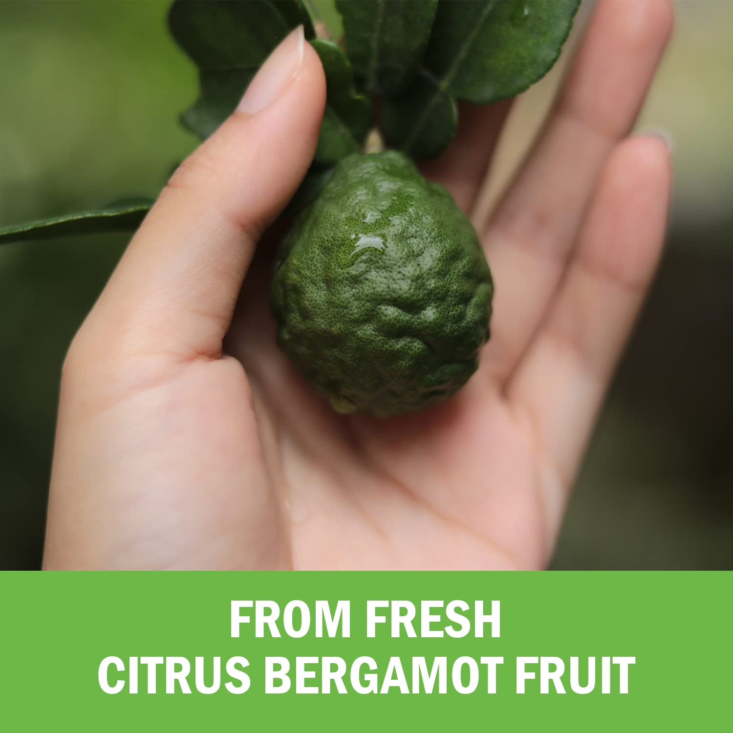 Citrus Bergamot 1000mg - Citrus Bergamot Supplement for Cholesterol and Heart Health - Ultra Concentrated from Fresh Fruit for Enhanced Absorption - TrustMedUSA
