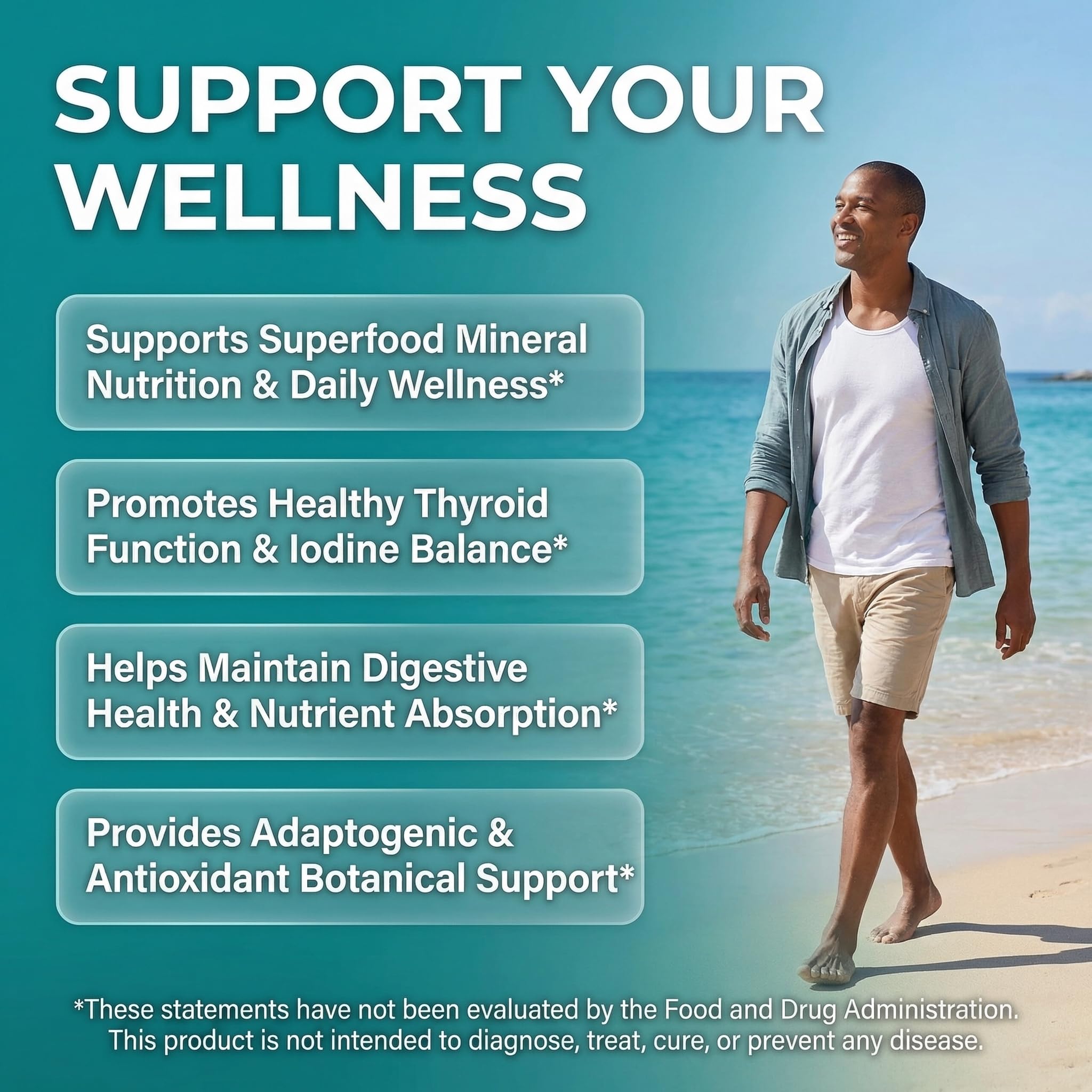 Clean Nutra Organic Sea Moss Capsules with Ashwagandha, Black Seed Oil, Burdock Root, Bladderwrack, Moringa, Chlorella, Spirulina, Turmeric, Elderberry, Amla – 90 Vegan Capsules – MiracleMin - TrustMedUSA