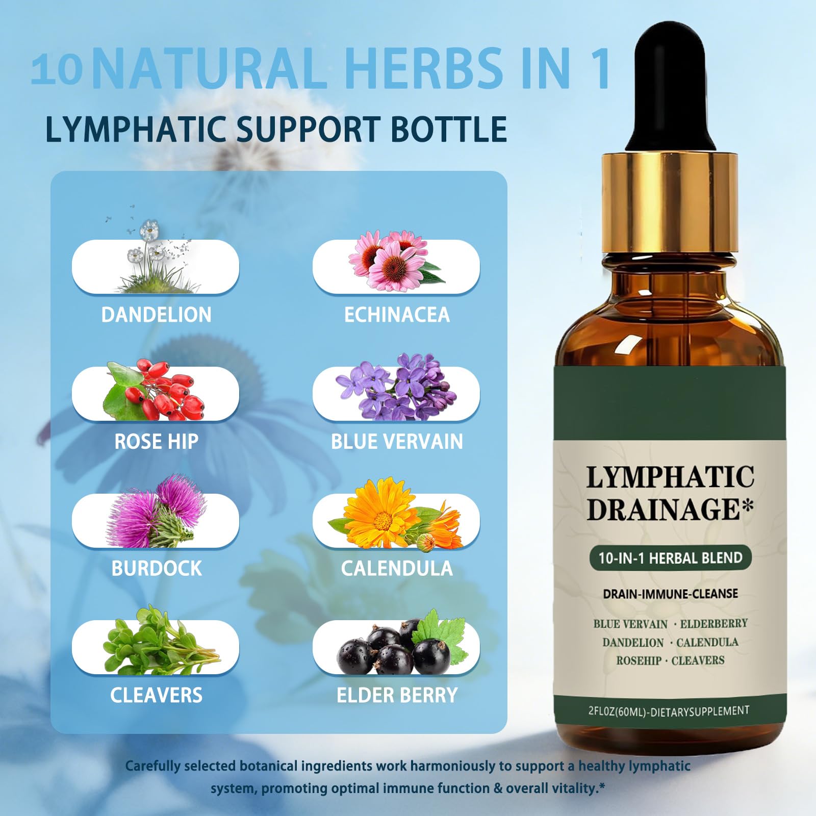 Cleantra Organic Lymphatic Drainage Drops,Natural Herbal Blend Lymphatic System Support Fast-Absorbing,Vegan & Non-GMO,Fast-Absorbing,2 fl oz (1PCS) - Maple Wellness Supplements