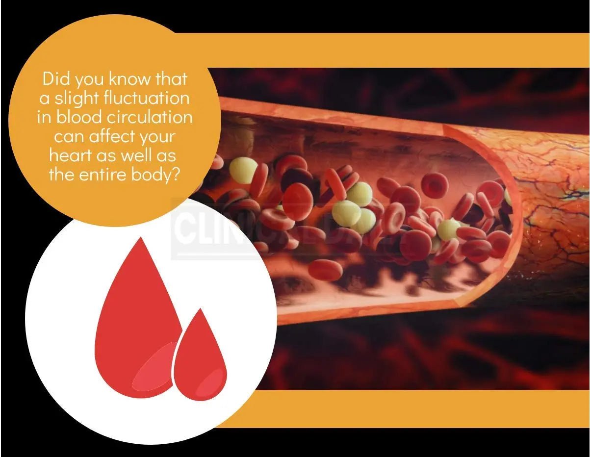 Clinical Daily Blood Circulation Supplements. Butchers Broom, Horse Chestnut, Hawthorn - TrustMedUSA