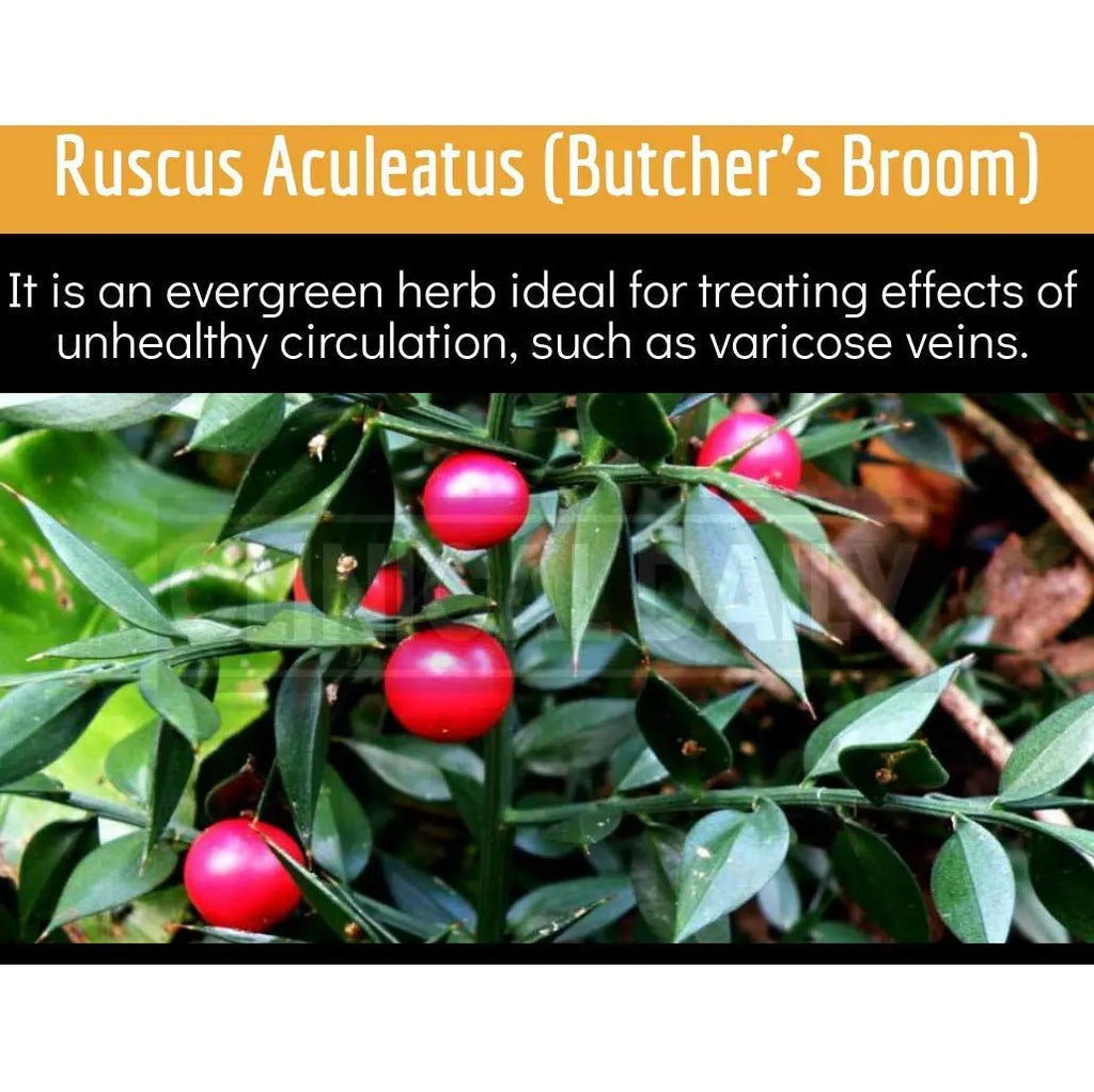 Clinical Daily Blood Circulation Supplements. Butchers Broom, Horse Chestnut, Hawthorn - TrustMedUSA