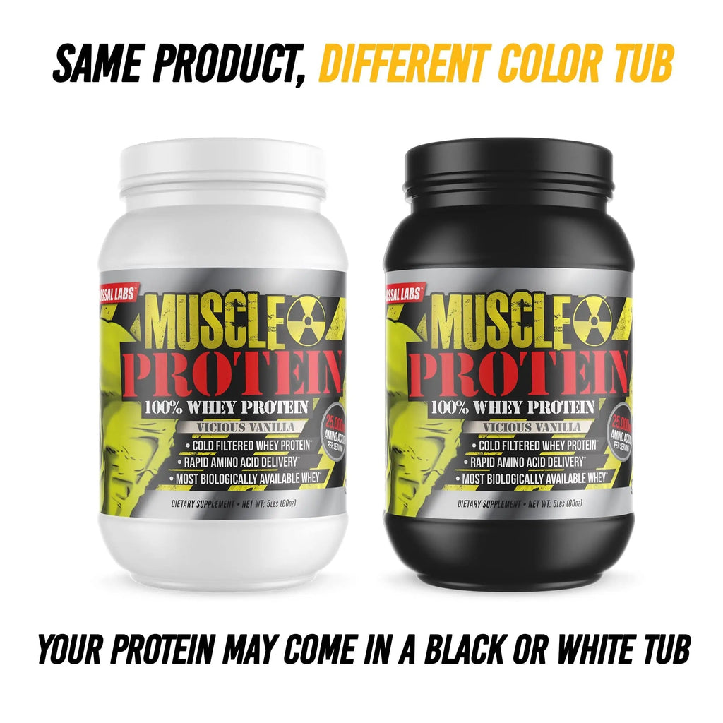 COLOSSAL LABS Whey Protein Powder [15 lbs/Pack of 1]– Chocolate Protein, Cold Filtered - TrustMedUSA
