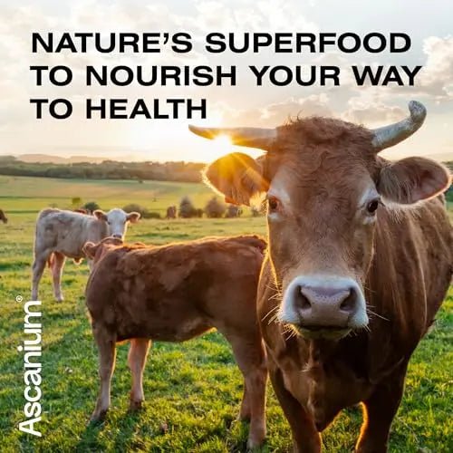 Colostrum Powder - Grass-Fed 40% IgG Colostrum Supplement Powder - Bovine - TrustMedUSA