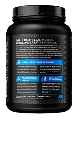 Creatine Monohydrate Powder MuscleTech Cell-Tech Creatine Powder Post Workout - TrustMedUSA